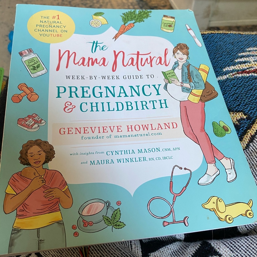 Mama natural pregnancy book